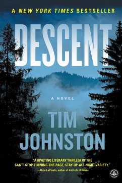 Descent - Johnston, Tim