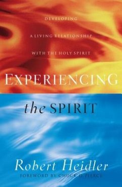 Experiencing the Spirit - Heidler, Robert