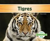 Tigres (Tigers)