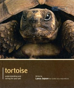 Tortoise - Pet Expert - Jepson, Lance