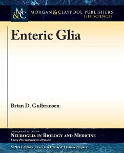 Enteric Glia - Gulbransen, Brian D.