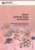 Global Synthetic Drugs Assessment