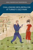 Challenging Neoliberalism at Turkey's Gezi Park