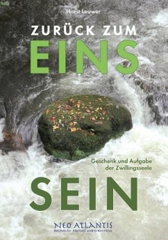 Cover Zurück zum EinsSein (eBook, ePUB)