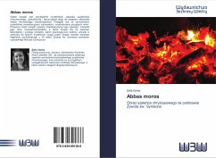 Cover Abbas moros