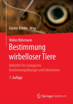 Bestimmung wirbelloser Tiere