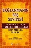 Baglanmanin Bes Seviyesi