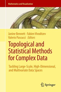 Topological and Statistical Methods for Complex Data