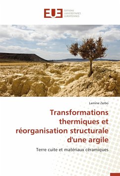 Transformations thermiques et réorganisation structurale d'une argile - Zerbo, Lamine