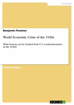 World Economic Crisis of the 1920s (eBook, PDF) - Pommer, Benjamin