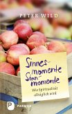 Sinnesmomente - Sinnmomente (eBook, ePUB)