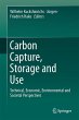 Carbon Capture, Storage and Use - Bild 1