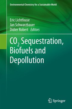 CO2 Sequestration, Biofuels and Depollution