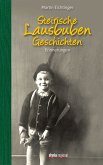 Steirische Lausbubengeschichten (eBook, ePUB)