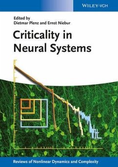 Cover Criticality in Neural Systems (eBook, ePUB)