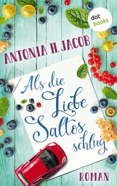 Als die Liebe Saltos schlug (eBook, ePUB) - Jacob, Antonia H.