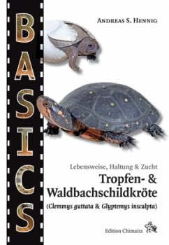 Tropfen- und Waldbachschildkröte - Hennig, Andreas S.