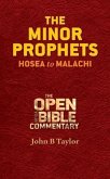 Minor Prophets (eBook, ePUB)