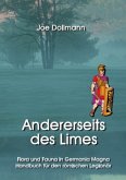 Andererseits des Limes