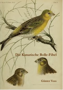 Die Kanarische Bolle-Fibel (eBook, ePUB) - Voss, Günter