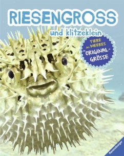 RIESENGROSS und klitzeklein: Tiere des Meeres in Originalgröße - Ganeri, Anita