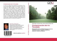 Contaminación del río Tecolutla - González Rocha, Sergio Natan;Zúñiga López, Marco Antonio