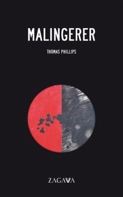 Malingerer (eBook, ePUB)