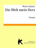 DIE WELT MEIN HERZ (eBook, ePUB)