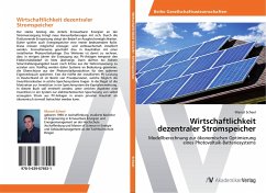 Wirtschaftlichkeit dezentraler Stromspeicher - Scheel, Marcel