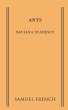 Ants - Bild 1