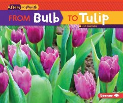 From Bulb to Tulip - Owings, Lisa