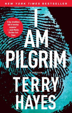 I Am Pilgrim - Hayes, Terry