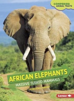 African Elephants - Hirsch, Rebecca