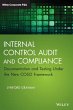 Internal Control Audit and Compliance - Bild 1