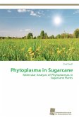 Phytoplasma in Sugarcane