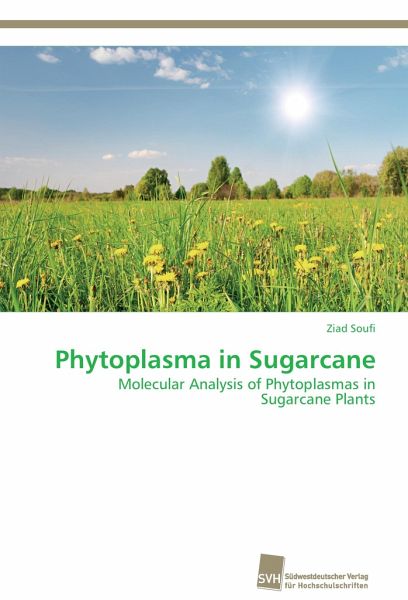 Phytoplasma in Sugarcane Phytoplasma in Sugarcane