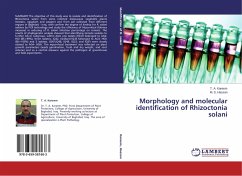Morphology and molecular identification of Rhizoctonia solani