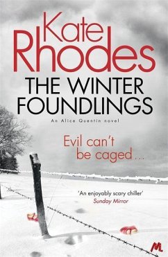 The Winter Foundlings - Rhodes, Kate