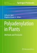 Polyadenylation in Plants - Bild 1