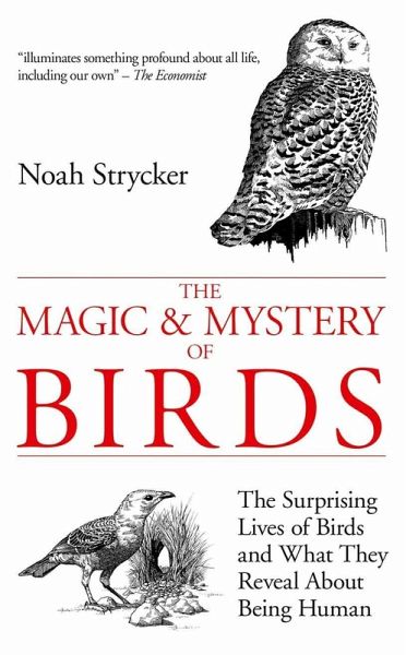 The Magic & Mystery of Birds (eBook, ePUB) The Magic & Mystery of Birds (eBook, ePUB)