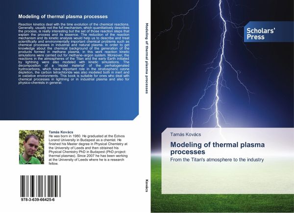 Modeling of thermal plasma processes