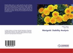 Marigold: Stability Analysis - Kulkarni, Balaji S.;Patil, Kapil V.