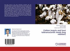 Cotton insects and host tolerance(with mealy bug relation) - Javed, Muhammad Wajid;Rubab, Umm-e-;Farooq, Muhammad Hammad