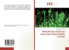 PRINCIPE DE JAUGE des Interactions Électrofaible et Forte - Ennadifi, Salah Eddine