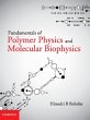 Fundamentals of Polymer Physics and... - Bild 1