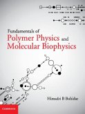 Fundamentals of Polymer Physics and Molecular Biophysics (eBook, PDF)