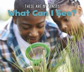 What Can I See? (eBook, PDF)
