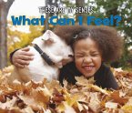 What Can I Feel? (eBook, PDF)