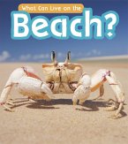 What Can Live at the Beach? (eBook, PDF)