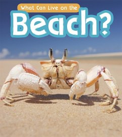 What Can Live at the Beach? (eBook, PDF) - Wilkins, John-Paul